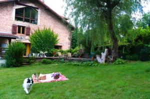 B&B / Chambres d'hotes Chambres d-hote Odile et les cycleux Lily : photos des chambres