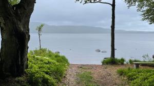 Gästhus nära västersjön