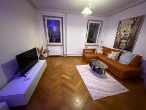 Chill and Tranquil in St Johann near Novartis Campus