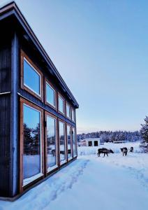 Reindeer Riverfront Aurora lodge