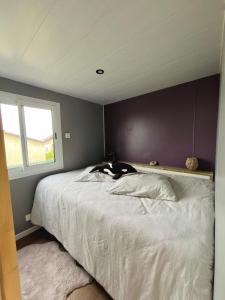 Maisons de vacances Le Ribeiro, Maison vue sur mer - 30m de la plage : photos des chambres