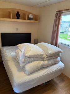 45 Dunlin dell. Thornwickbay Bridlington east coast .