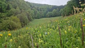 Ferienwohnung Gsangerer