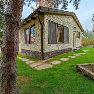 Forest Hide Tiny House