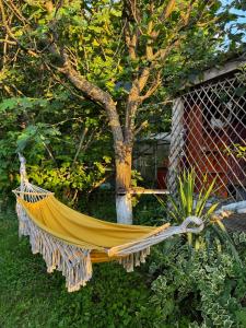 The Secret Garden House