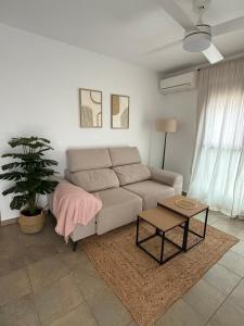 Oliva y Mar Paradise