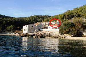 Seaside secluded apartments Cove Tvrdni Dolac, Hvar - 12655