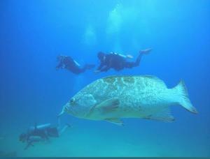 Casa sierra de la Laguna