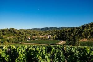 Maisons de vacances Domaine Calmel & Joseph : photos des chambres