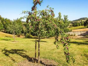 Maisons de vacances Beautiful holiday home with private pool : photos des chambres