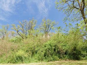 Maisons de vacances Beautiful holiday home with private pool : photos des chambres