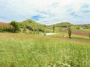 Maisons de vacances Beautiful holiday home with private pool : photos des chambres