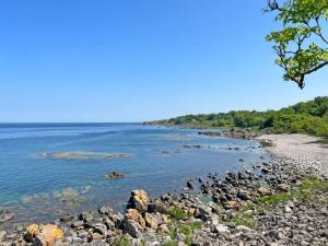 5 person holiday home in Allinge