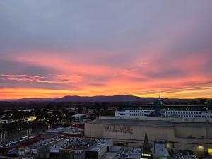 Glen Oasis - Luxury Apartment