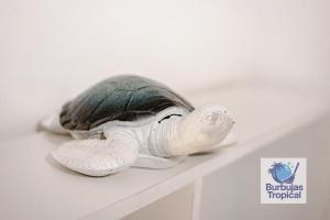 3 Bdr Apt in La Romana - Full Kitchen - Pool - Gym - Security