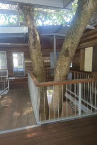 Monkey House Hostel Koh Samui