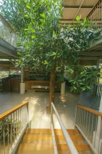 Monkey House Hostel Koh Samui