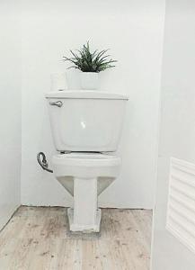 Abas Boutique Hostel