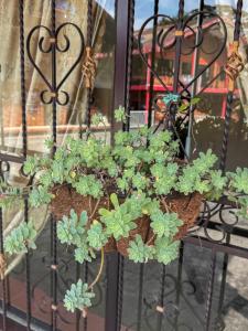 Cabaña Dúplex San Luis