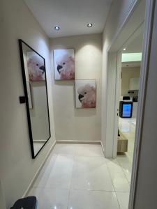 شقة فندقيه في حي الربيع