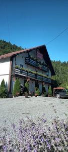 Casa Ursului