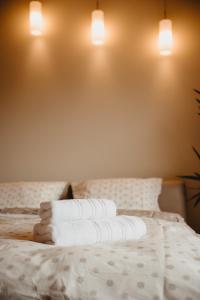 Sunny Hill Panorama - Cluj Napoca - parcare gratuita, self check in 24h, aeroport 15 minute!