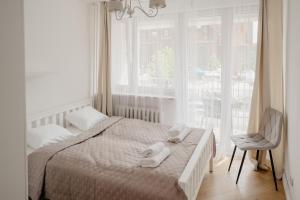 Wita Stwosza Rynek Apartament Wrocław