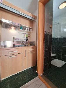 Studio apartment in Stari grad