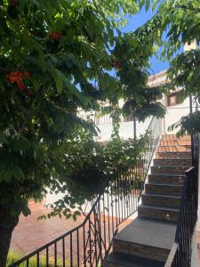 Apartamentos CerroNegro