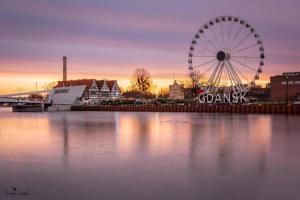 Przy krzywym drzewie - Old Town