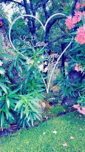 B&B / Chambres d'hotes La Casa dei Sogni : photos des chambres