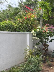 Nishu Villa Hikkaduwa