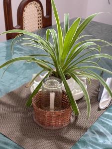 Nishu Villa Hikkaduwa