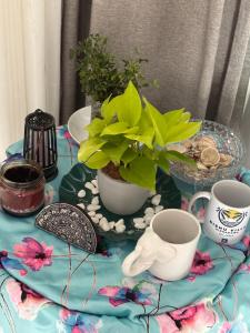 Nishu Villa Hikkaduwa