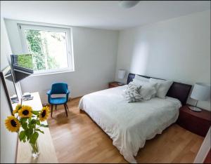 Montreux Stunning 2 Bedroom Apartment Lake Geneva