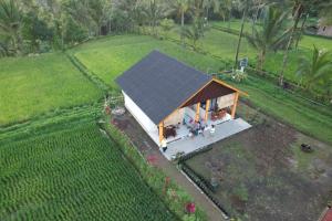 Green House Tetebatu