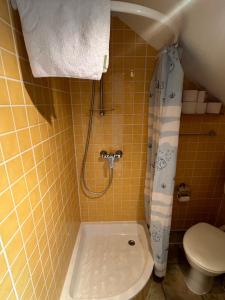 Skalina city center studio apartment