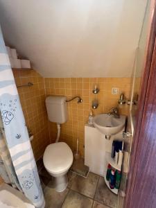 Skalina city center studio apartment