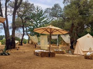 Tenda