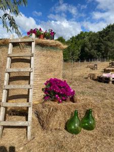 Azienda Agricola Veldidonna img13