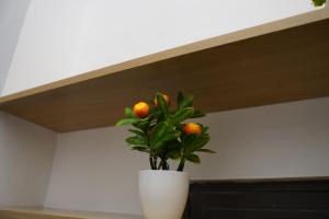 Phương Thảo 606TM1