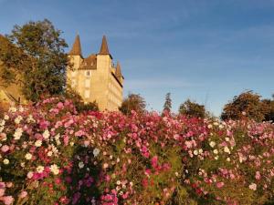Maisons de vacances Gite le crespin : photos des chambres
