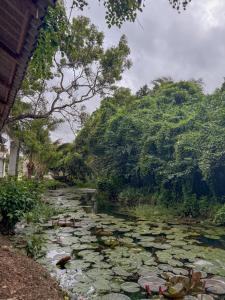 Riverside Hotel Colombo
