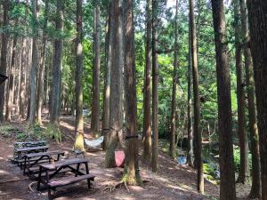 清流と森林の山荘 Tanzawa Forest Villa