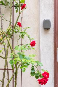 Cozy I central I free parking