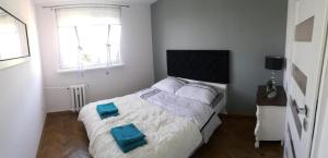 Apartament Cieplice z widokiem