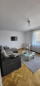 Apartament Cieplice z widokiem