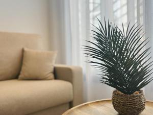 Apartamento Pancho 1 By Solymar Properties