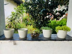 D Hearts Home Stay , Nuwara Eliya