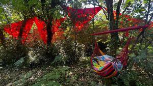 Chalets LeLoft au dessus des Pins : photos des chambres